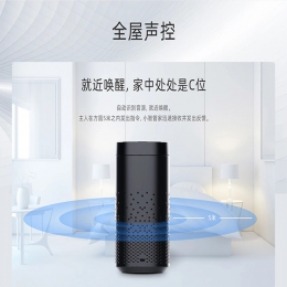 智能音箱網(wǎng)關 TWG-WZ01